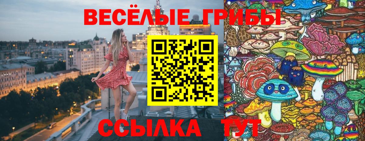 Ртищево  Псилоцибиновые грибы Psilocybine cubensis  Вход с VPN 