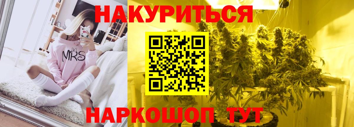 Шишки марихуана планчик  Бошки марихуана Ganja  Ртищево  Вход с VPN 